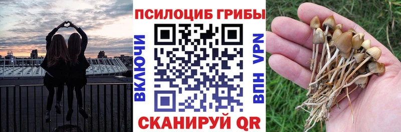 продажа наркотиков  Рыбное  Галлюциногенные грибы прущие грибы 